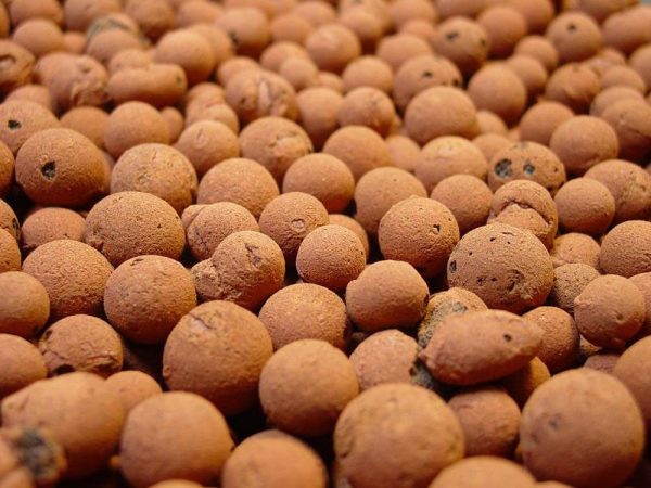 Hydro Expanded Clay Clay Balls (LECA) 50L | Hydro Expanded Clay Hydroponic Growing Medium Australia Hydroponic Growing Medium Australia hydroponic grow equipment indoor gardening system
