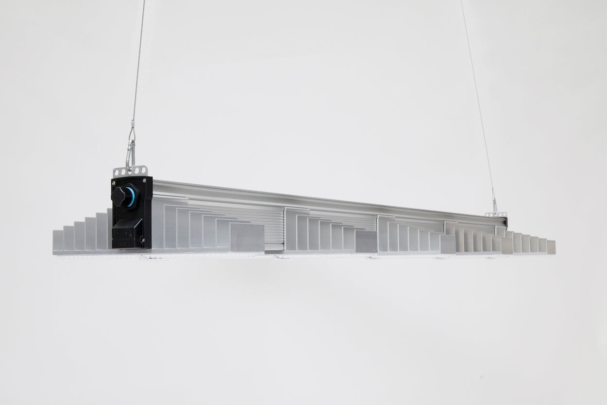 SANlight EVO 5-150 commercial horticulture LED grow light with IP65 protection and 90000 hour lifespan for professional large format indoor farming Australia
