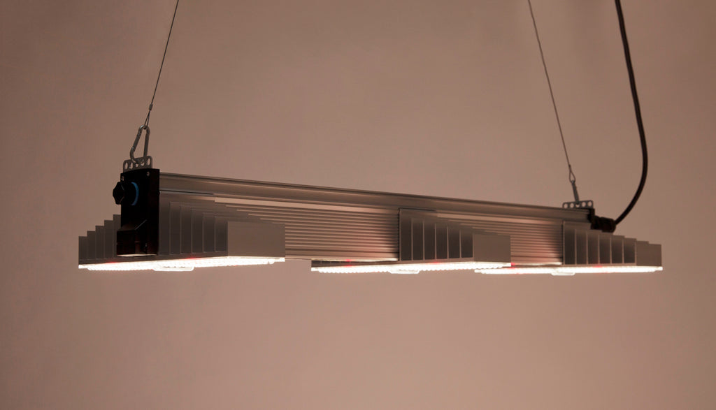 Advanced light-directing lenses on SANlight EVO 3-80 for maximum photon efficiency and long-term diode protection.