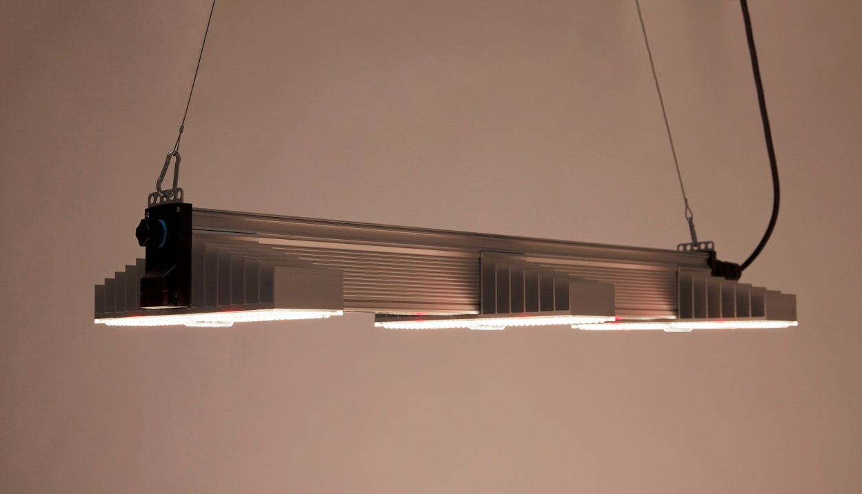 Advanced light-directing lenses on SANlight EVO 3-80 for maximum photon efficiency and long-term diode protection.