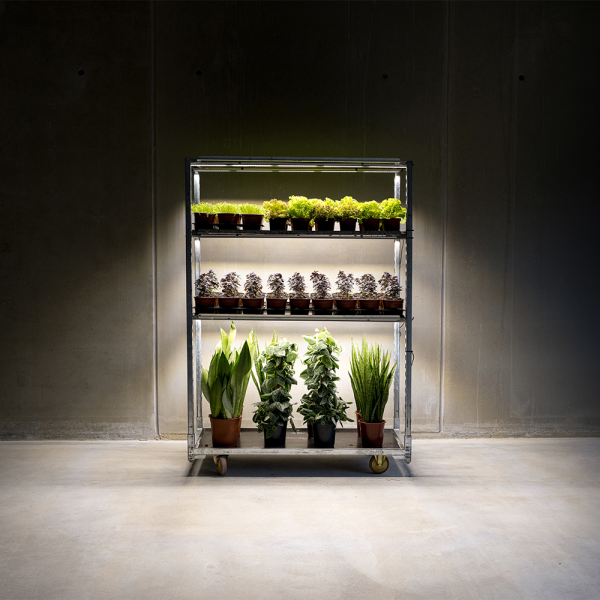 commercial sanlight flex ii led propagation light seedlings clones australia SANlight FLEX II Set | LED Propagation Light Bars for Seedlings & Clones AU SANlight LED grow room equipment for LED grow light environments image 7