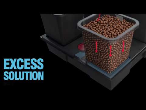 heavy duty origin hydroponic system recirculating drip australia Origin Hydroponic System | Recirculating Drip System Australia High Yield Grow Setup Wilma indoor grow room setup for climate controlled grow tents image 4