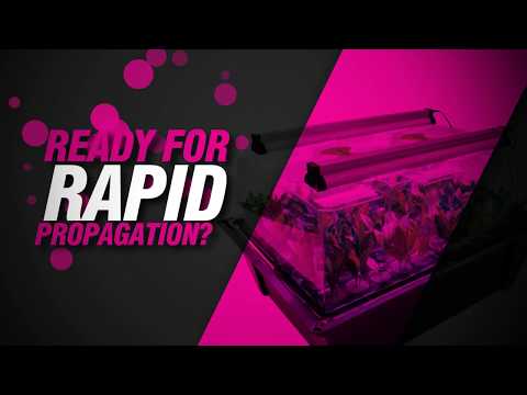 reflective x stream aeroponic propagator cloning machine australia X Stream Aeroponic Propagator | Cloning Machine Hydroponic Cloner Australia X Stream hydroponic gardening equipment for high yield indoor plant growth image 3